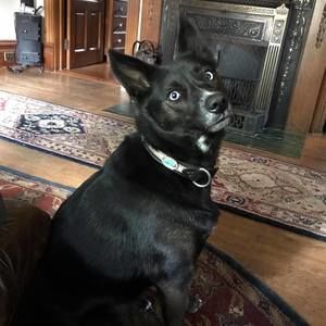 Meet your Posher, Judy